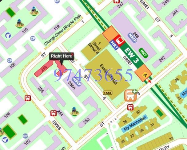 Blk 256 Simei Street 1 (Tampines), HDB 4 Rooms #162410602